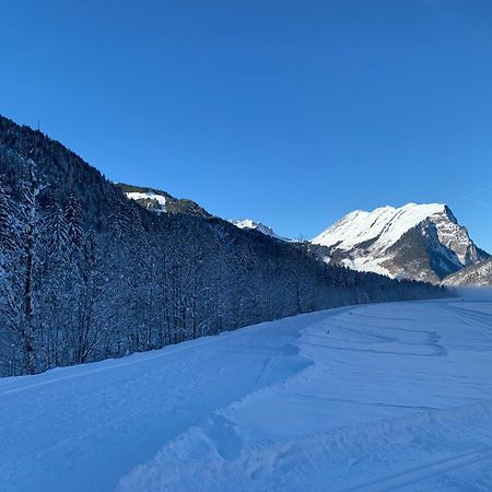 Ferienwohnungen Schantl Schoppernau Exteriér fotografie