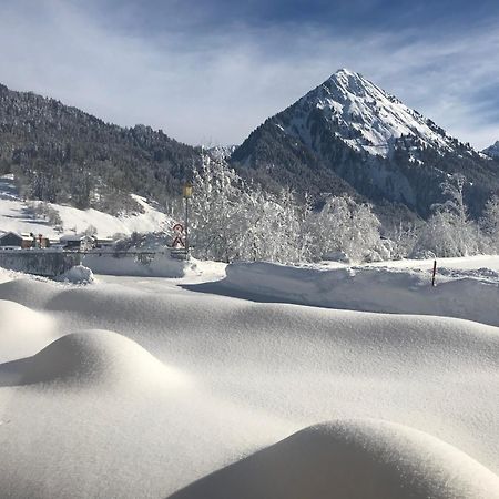 Ferienwohnungen Schantl Schoppernau Exteriér fotografie