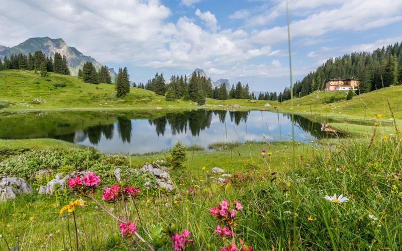 Ferienwohnungen Schantl Schoppernau Exteriér fotografie