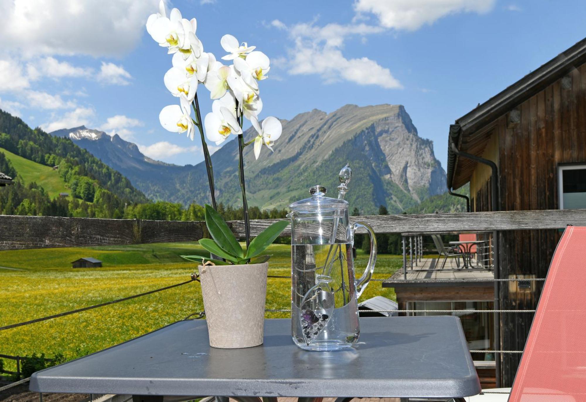 Ferienwohnungen Schantl Schoppernau Exteriér fotografie