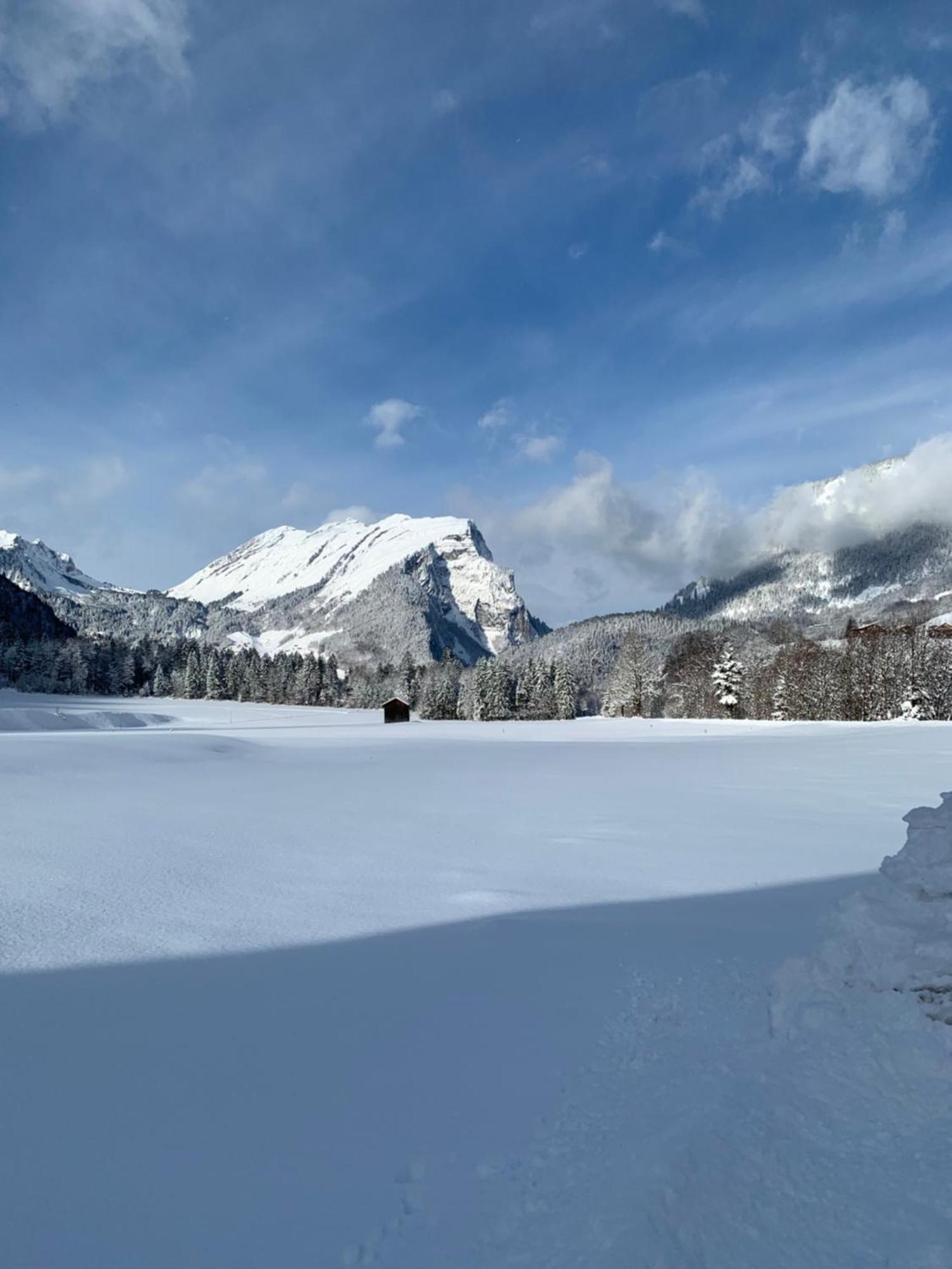 Ferienwohnungen Schantl Schoppernau Exteriér fotografie