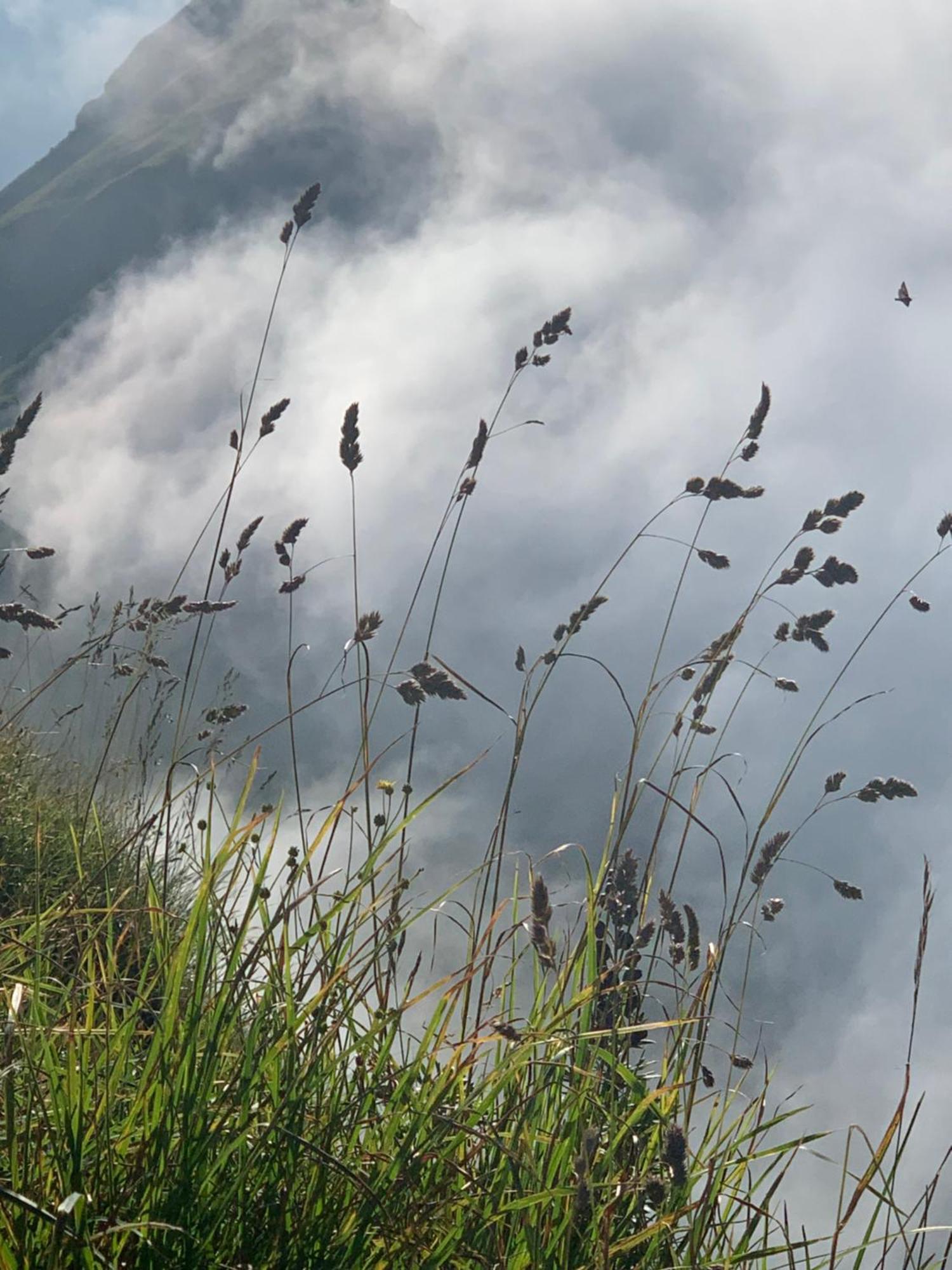 Ferienwohnungen Schantl Schoppernau Exteriér fotografie