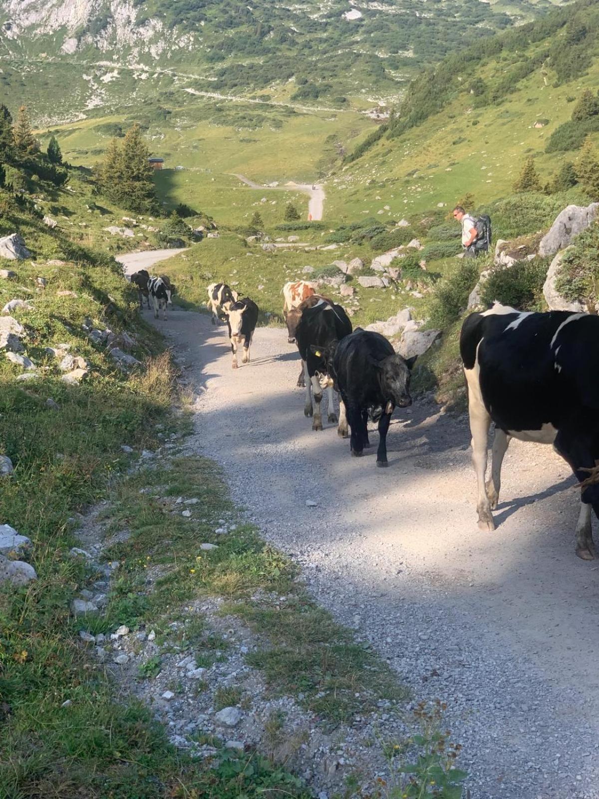 Ferienwohnungen Schantl Schoppernau Exteriér fotografie